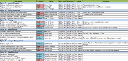 SAP Implementation Project example 